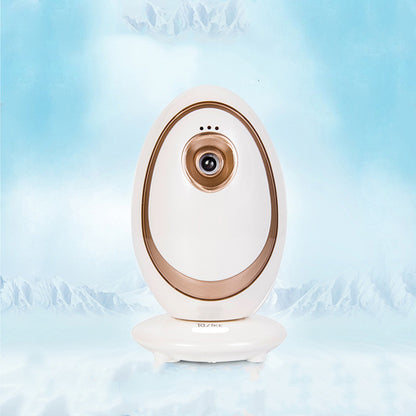 Facial cold spray steam beauty instrument