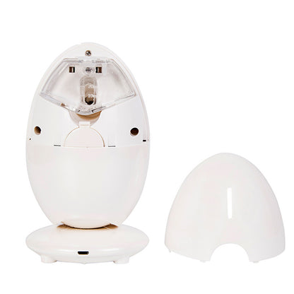 Facial cold spray steam beauty instrument